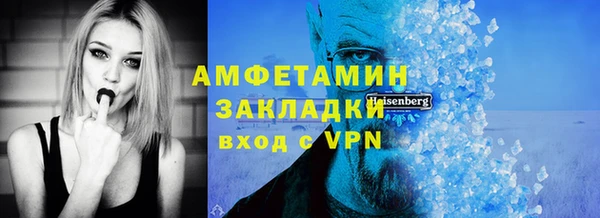 индика Бронницы