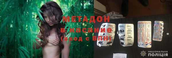 индика Бронницы