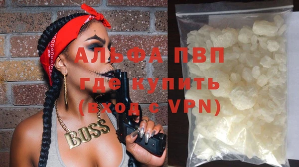 гашик Бородино