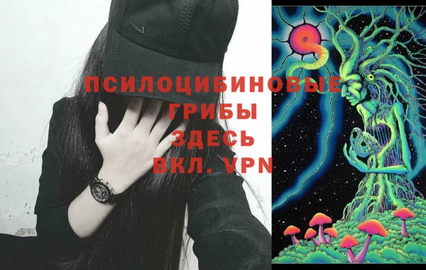 альфа пвп Бугульма